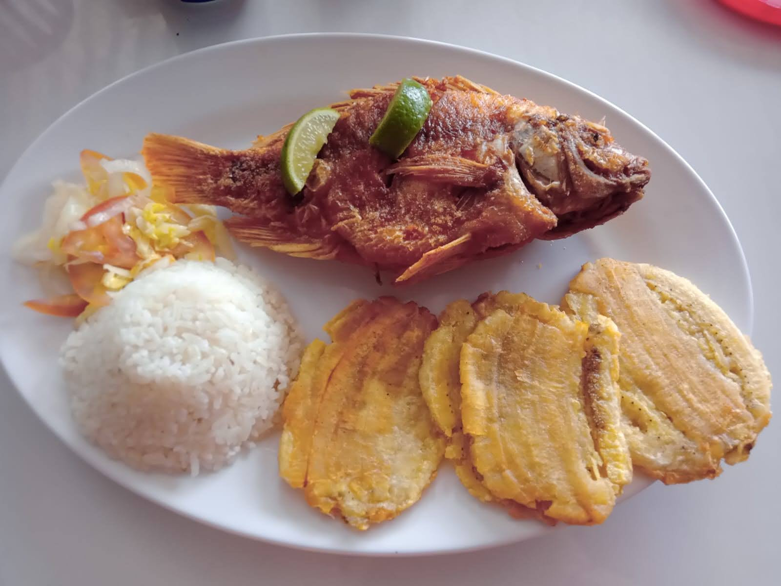 Mojarra, a Caribbean fish. 2